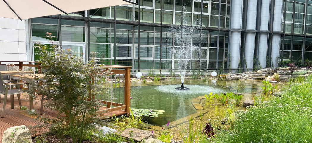 Außenanlage des Gesundwerks