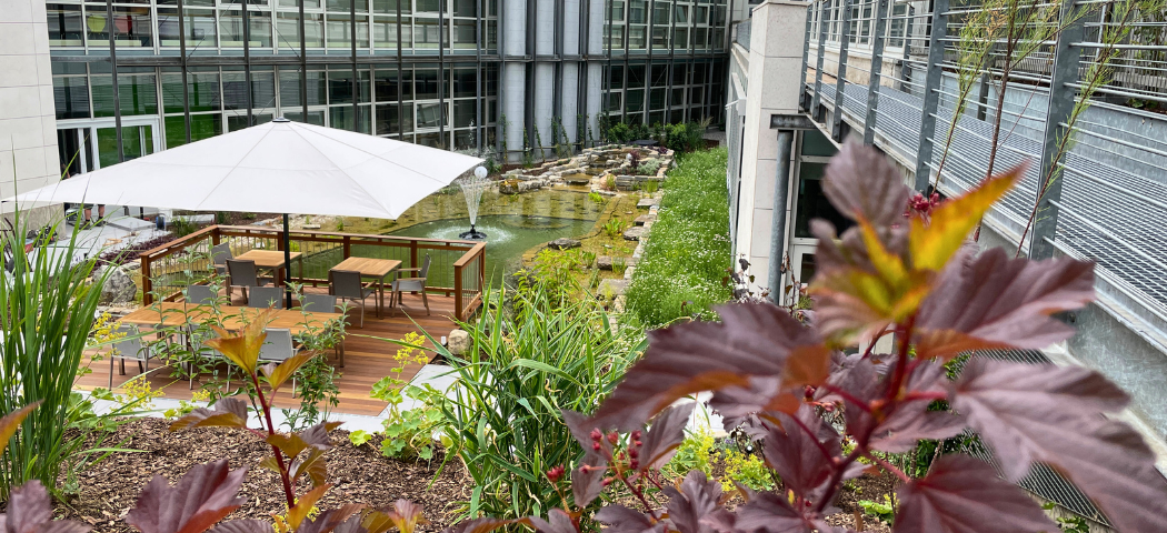 Außenanlage vom Gesundwerk